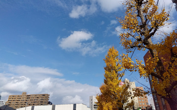 秋の青空が広がる万代の弁天公園周辺