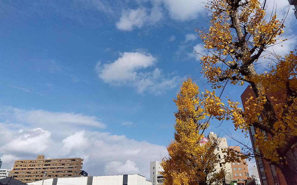秋の青空が広がる万代の弁天公園周辺